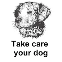 Simone Beretta — Take Care Your Dog — обложка